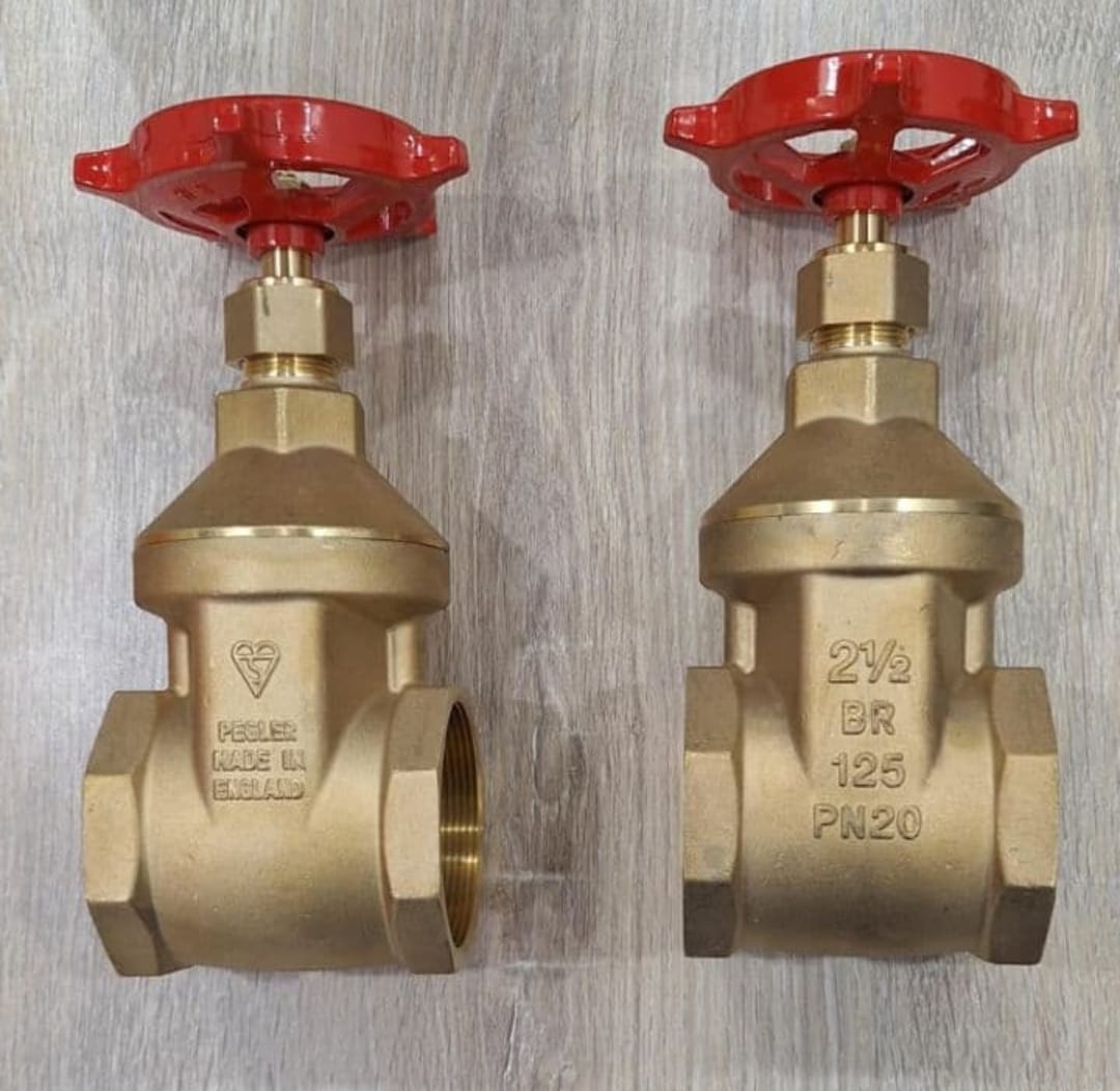 Pegler gate valves